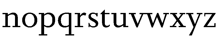 Bodoni Pt Variable Light Font LOWERCASE