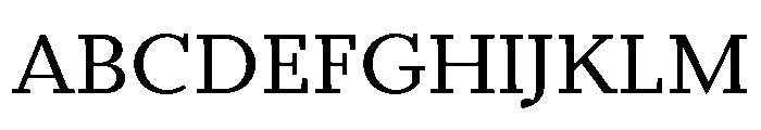 Bodoni Pt Variable Medium Font UPPERCASE