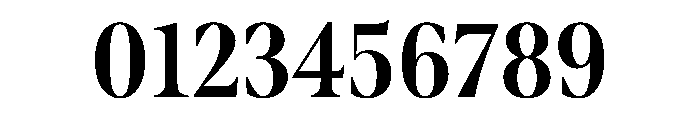 Borax Variable Bold Font OTHER CHARS