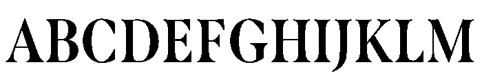 Borax Variable Bold Font UPPERCASE