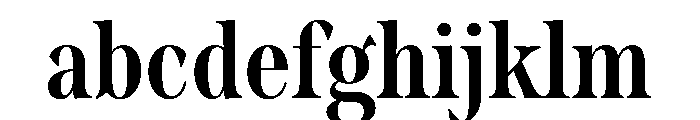 Borax Variable Bold FONT