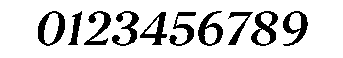 Borax Variable Medium Italic Font OTHER CHARS