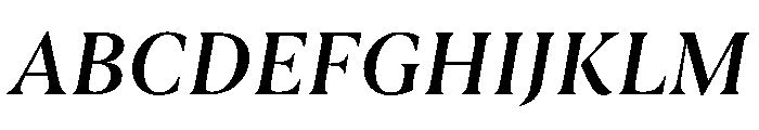 Borax Variable Medium Italic Font UPPERCASE
