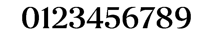 Borax Variable Medium Font OTHER CHARS