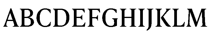Borax Variable Regular Font UPPERCASE