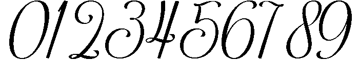 Bocthira Majesthique Script Font OTHER CHARS