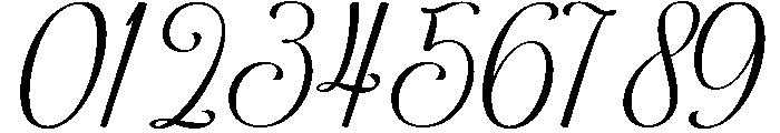 BocthiraMajesthique-Script Font OTHER CHARS
