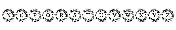 Boho Floral Monogram Font LOWERCASE
