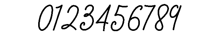 Boisterous Shindig Script Font OTHER CHARS