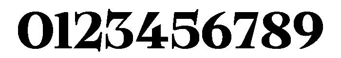 Bold Dignify Regular Font OTHER CHARS