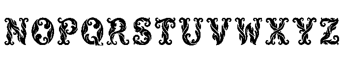 Bora Regular Font LOWERCASE