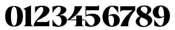 BorthTropical Font OTHER CHARS