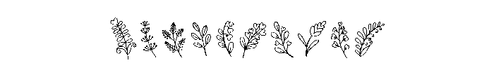 Botanical Bonus Set Font OTHER CHARS