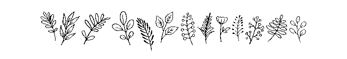 Botanical Bonus Set FONT