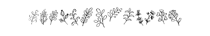 Botanical Bonus Set Font LOWERCASE
