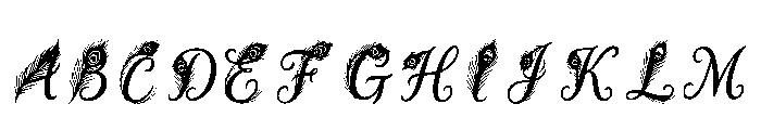 Bougainvillea Regular Font UPPERCASE