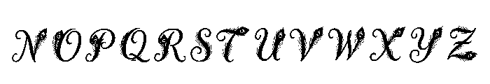 Bougainvillea Regular Font LOWERCASE