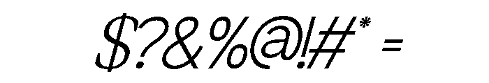 Bourgueil Serif Italic Italic Font OTHER CHARS