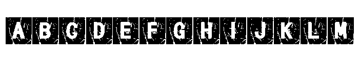 Box Grunge Regular FONT