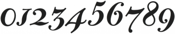 Bodoni Casale Medium Italic otf (500) Font OTHER CHARS
