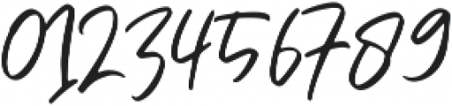 Bogoritmaa Signature otf (400) Font OTHER CHARS