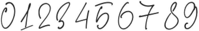 Boho Signature Script Font otf (400) Font OTHER CHARS
