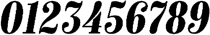 Bold-Italic otf (700) Font OTHER CHARS