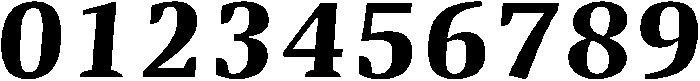 Bold-Italic otf (700) Font OTHER CHARS