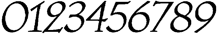 Bold Oblique otf (700) Font OTHER CHARS