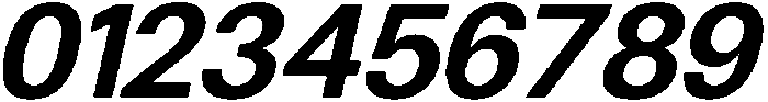 Bold Oblique ttf (700) Font OTHER CHARS