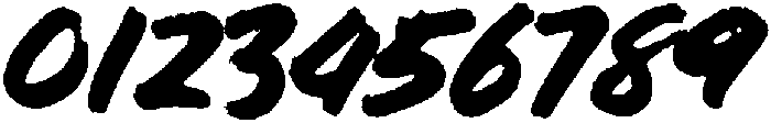 Bolder otf (700) Font OTHER CHARS