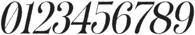 Bolognia Rough Italic otf (400) Font OTHER CHARS