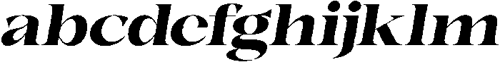 Bonarchi ExtBdSemExpIta otf (400) FONT