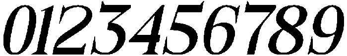 Bonemerch Italic otf (400) Font OTHER CHARS
