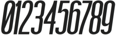 Boniksun Bold Expanded Italic otf (700) Font OTHER CHARS
