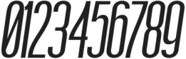 Boniksun DemiBold Expanded Italic otf (600) Font OTHER CHARS