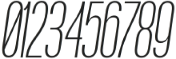 Boniksun ExtraLight Italic otf (200) Font OTHER CHARS