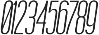 Boniksun Light Expanded Italic otf (300) Font OTHER CHARS