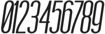 Boniksun Medium Expanded Italic otf (500) Font OTHER CHARS