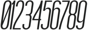 Boniksun Regular Expanded Italic otf (400) Font OTHER CHARS