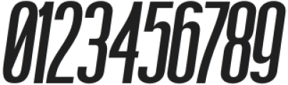 Boniksun UltraBold Expanded Italic otf (700) Font OTHER CHARS