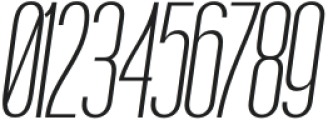 Boniksun UltraLight Expanded Italic otf (300) Font OTHER CHARS