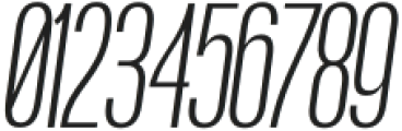 Boniksun UltraLight Italic otf (300) Font OTHER CHARS