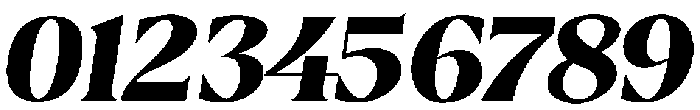 BorthTropical-Italic otf (400) Font OTHER CHARS