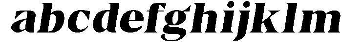 BorthTropical-Italic otf (400) FONT