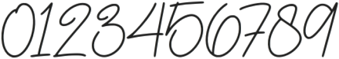 Boss Signature otf (400) Font OTHER CHARS
