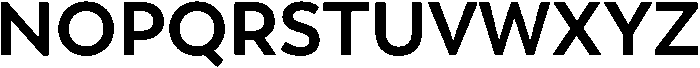 Boston Bold otf (700) Font UPPERCASE