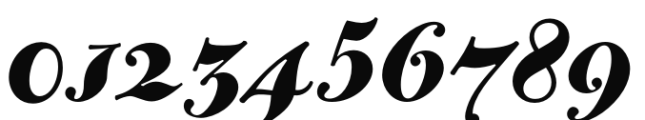 Bodoni Casale HeavyItalic Font OTHER CHARS