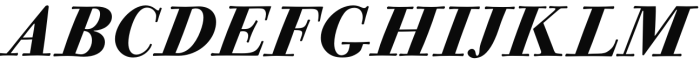 Bodoni Casale HeavyItalic Font UPPERCASE
