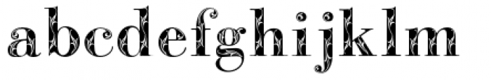 Bodoni Classic Bold Ornate Font LOWERCASE
